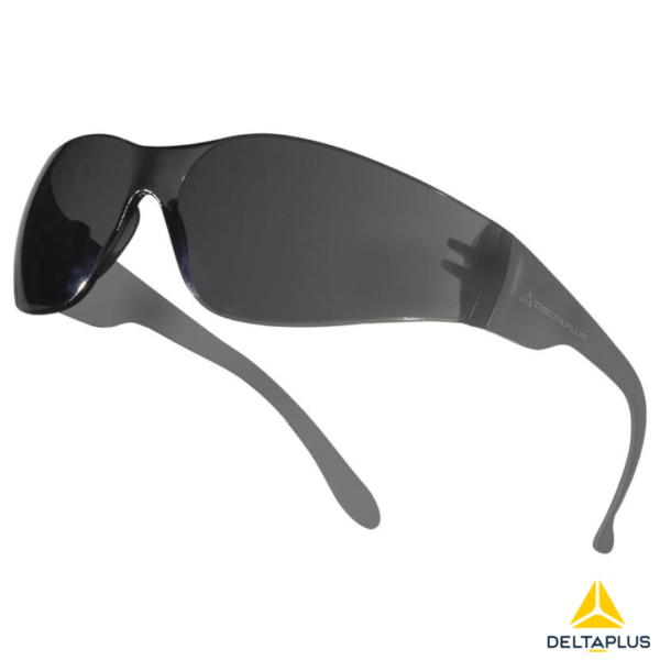 Anteojo Brava2 Gris Anti - Rayadura UV400 Deltaplus