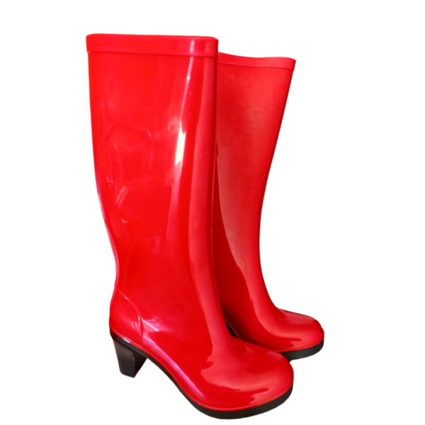 Bota de Lluvia Roma C/Larga - Imagen 3