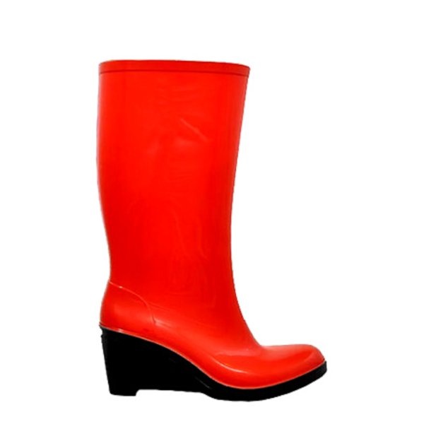 Bota de Lluvia Firenze C/Larga - Imagen 3