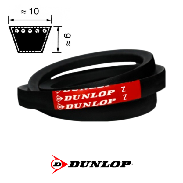 Correa Dunlop Serie Z